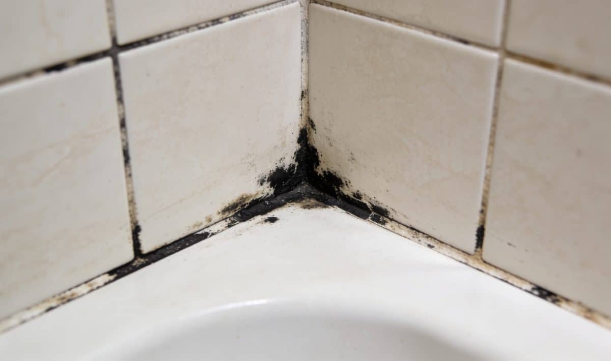 Coins de carrelage de douche avec moisissure noire