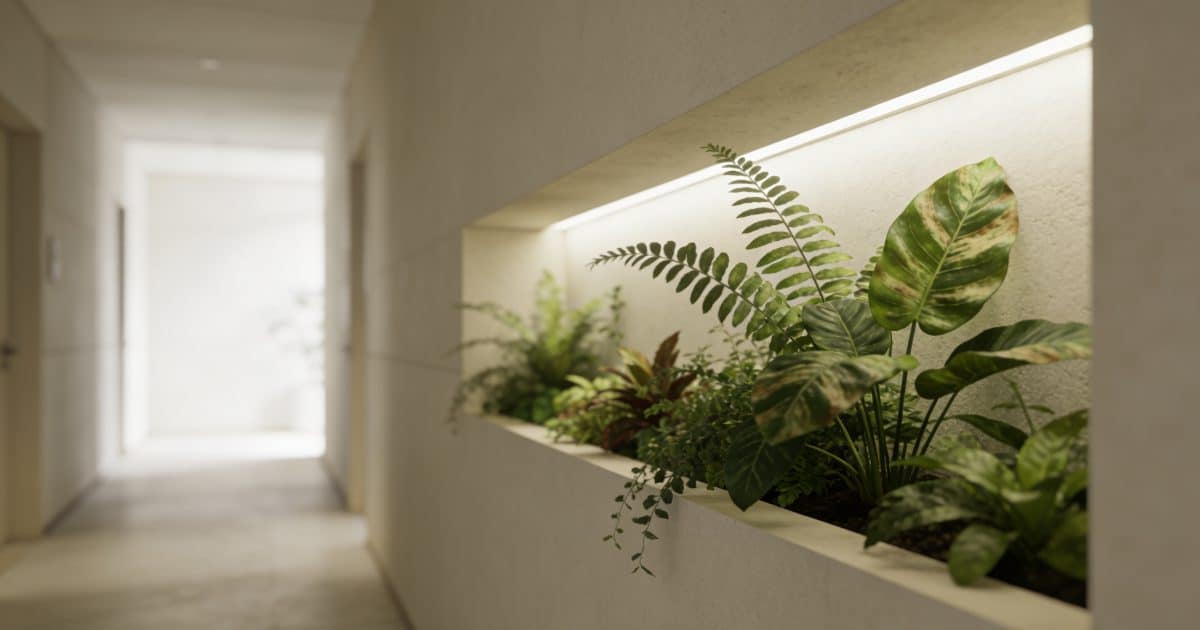 Couloir lumineux avec niche murale decorée de plantes