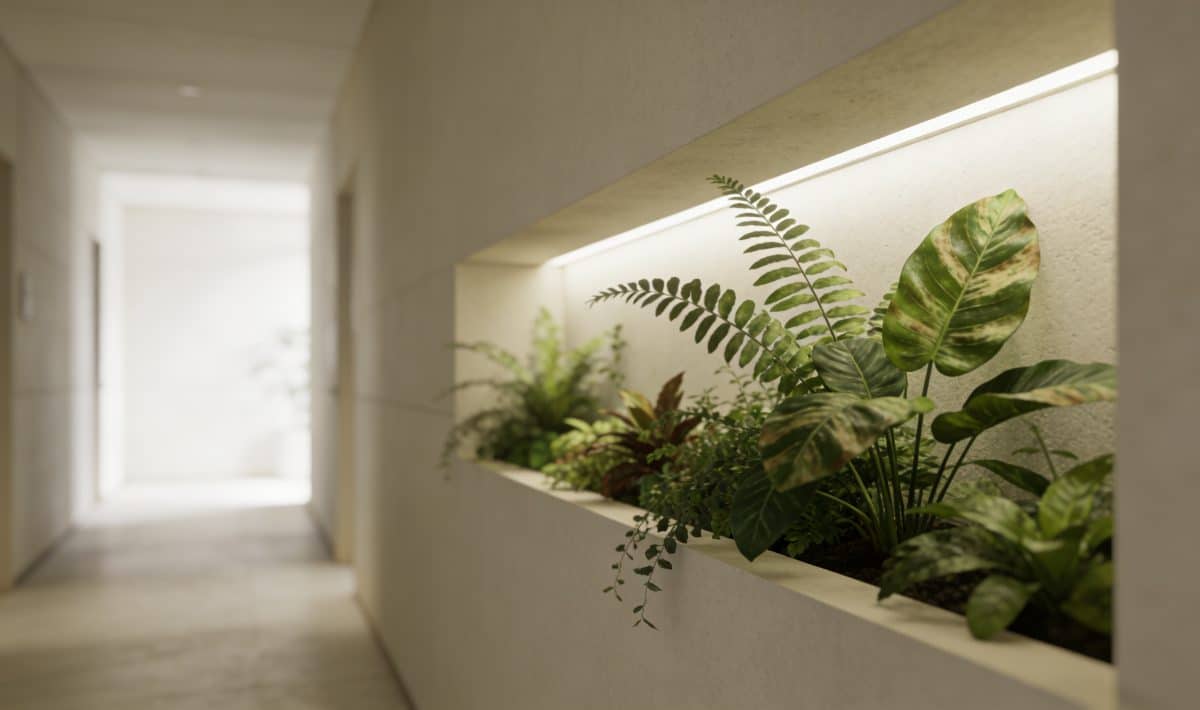 Couloir lumineux avec niche murale decorée de plantes