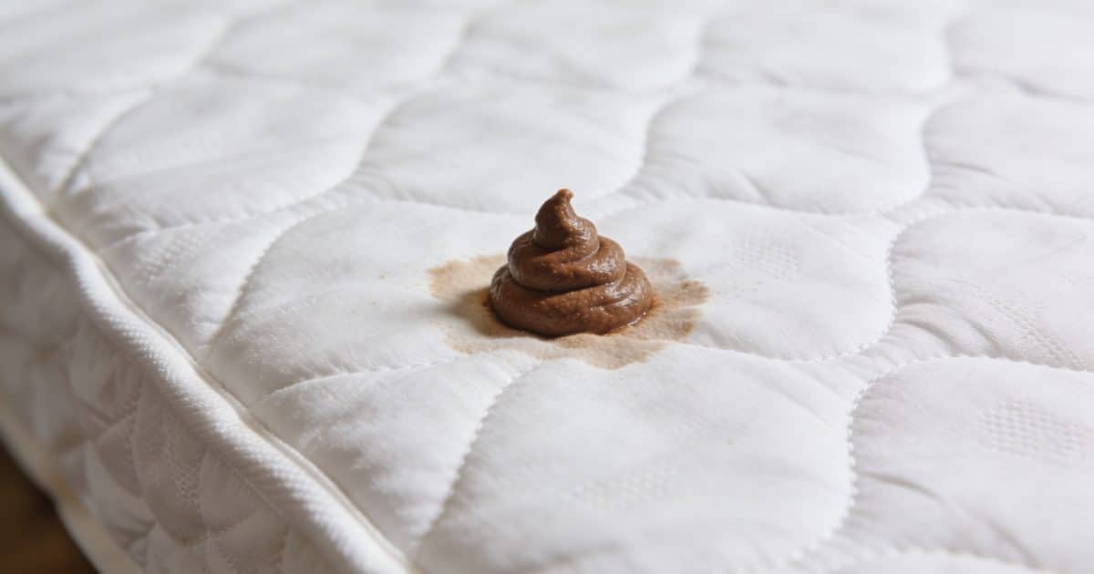 Gros plan matelas blanc tache brune d excrement