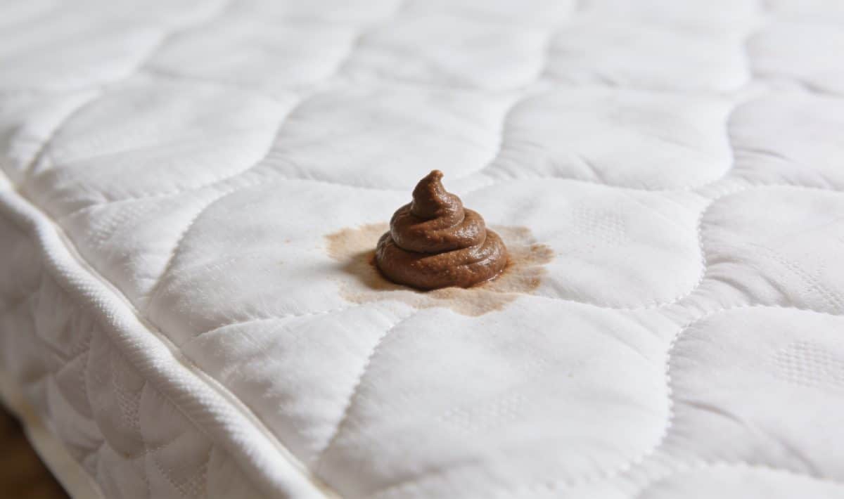 Gros plan matelas blanc tache brune d excrement