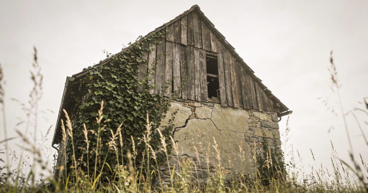 Vieille maison delabree envahie de plantes hautes