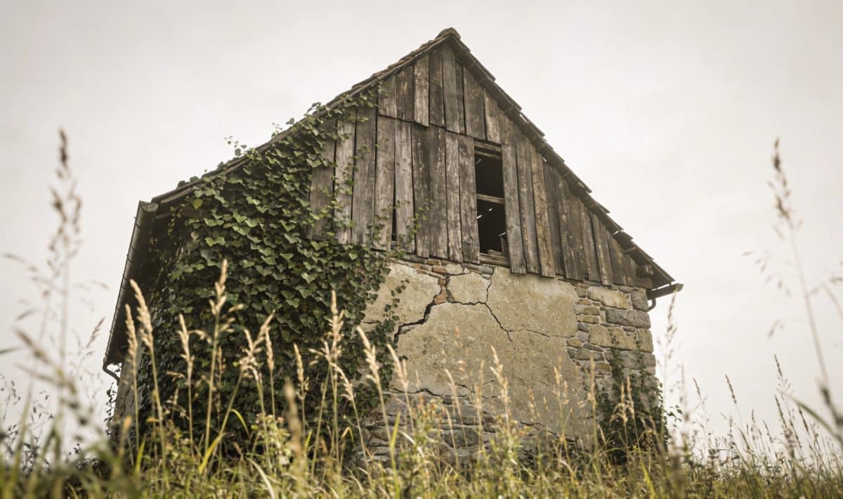 Vieille maison delabree envahie de plantes hautes